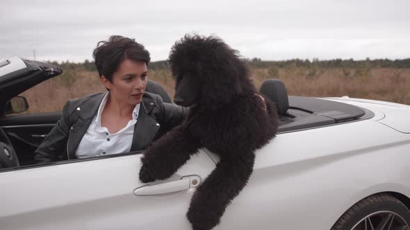 A Large Black Poodle Stands in the Back Seat of a Convertible and a Sensual Young Woman Hugs Him