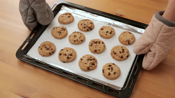 Baked chocolate chip cookies