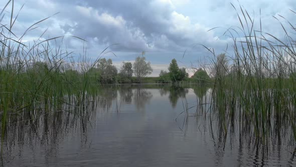 Early Morning Lake