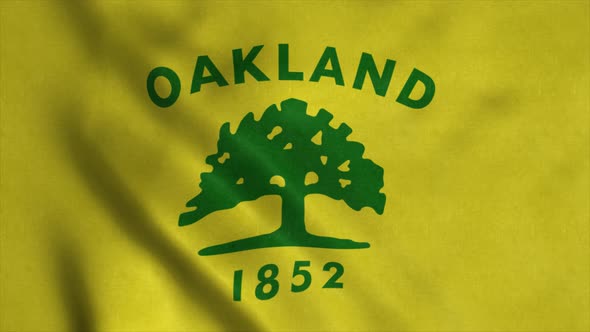 Flag of Oakland City City of United States of America