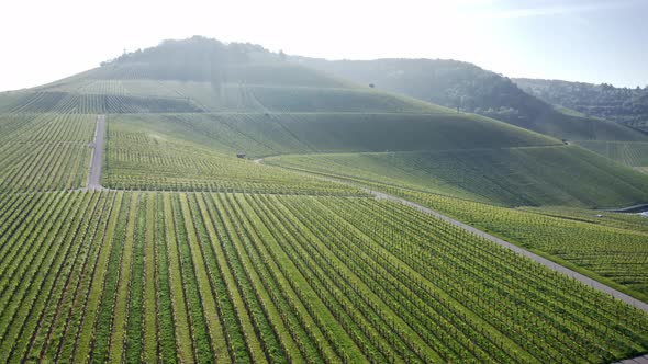 Drone view of vineyards and the city of Kappelberg in Germany