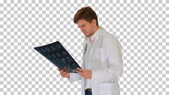 Concentrated male doctor looking at computed, Alpha Channel