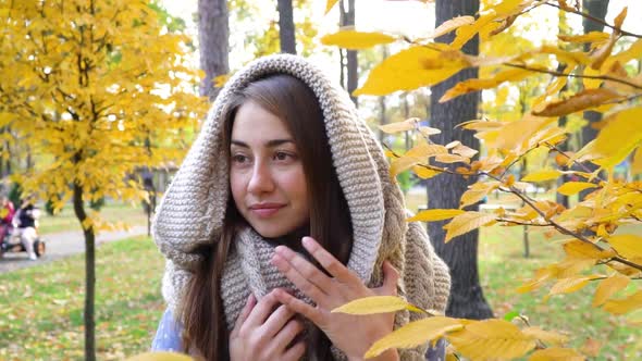 Brunette Attractive Woman Walking in the Park at Fall on a Sunny Day and Smiling