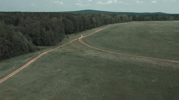 Green forest and rural field with blue sky in summer time