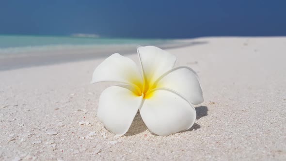 Aerial above panorama of beautiful bay beach wildlife by blue sea with white sand background of adve