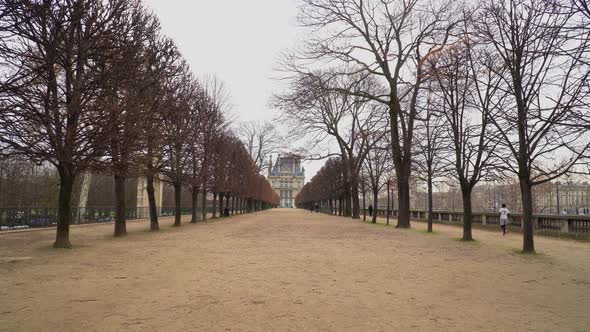 Alley In Tuileries Garden