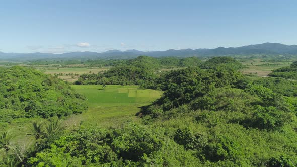 Landscape with Rice Terrace Field. Philippines, Luzon