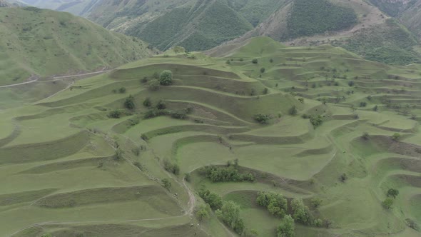 Beautiful Mountain Green Fields Terraces