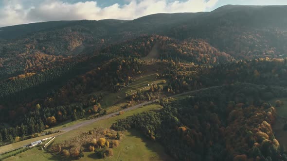 Grey Asphalt Road Surrounded By Mixed Forests Lit By Sun