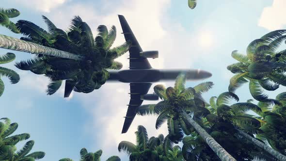 Passenger Plane Flies Over The Green Jungle