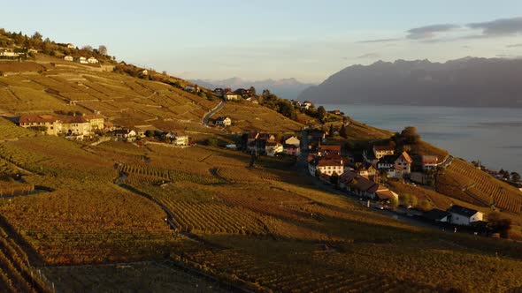 Flying low over Lavaux vineyard close to Aran village, Switzerland. Lake Léman and the Alps in the b