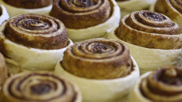 Batch of freshly baked cinnamon rolls pulled out of over and sitting to cool, filmed as extreme clos