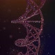 Dna And Particles Loop - VideoHive Item for Sale
