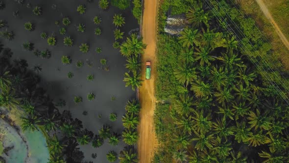 Cinematic Drone Footage of Vacuum Truck sequences in the middle of the jungle surrounded by palm oil