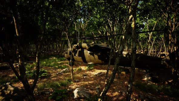 Military Helicopter in Deep Jungle