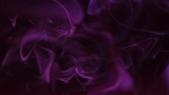 Purple smoke wave, Slow Motion