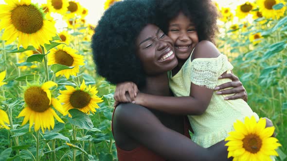 Farmers in a beautiful sunflower field