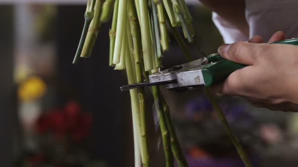 Florist Hand Cutting Flower Stems in Workshop