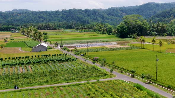 Exotic rural landscape of Sokorini village on Java, Indonesia, aerial view