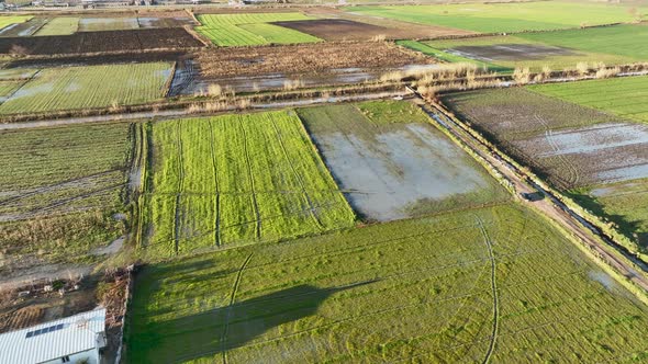 Farm Texture 4 K Aerial View