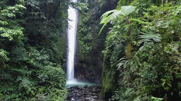 Drone Footage Inside a Majestic Rainforest with Lush Greenery and Waterfalls