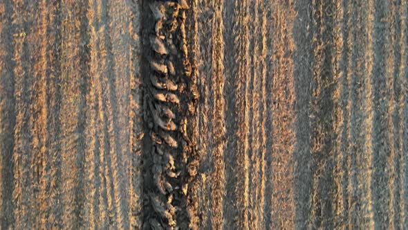 Tractor Preparing Land on Plowed Field for Sowing