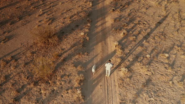 Man walking pit bull off leash through the mojave desert