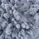 Top View Of Snowy Winter Forest - VideoHive Item for Sale