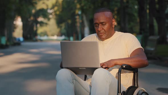 Adult Black Man on Wheelchair Uses Internet While Sitting Outdoors in Summer Park