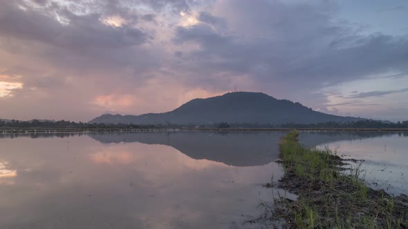 Timelapse sunrise of flooded paddy field with egret bird flying