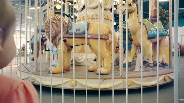 Little Beautiful Girl Child , Standing Near the Carousel, Holding Hands By the Fence, Surprised Eyes