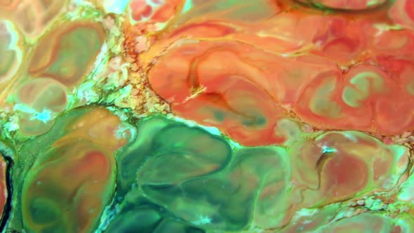 Liquid Colorful Paint Pattens Mix In Slow Motion