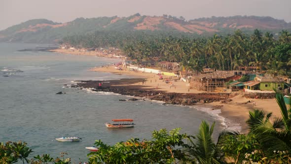 Wide angle of beach and palm trees