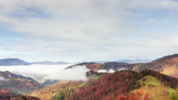 Wonderful Autumn Landscape with Beautiful Blue Sky and Majestic Clouds Forest Sunset Beautiful Fall