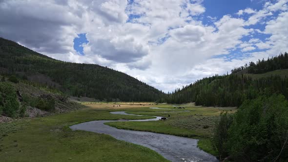 Fremont River flowing through meadow in Utah as cow graze the green valley