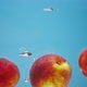 Peaches Fall Into Water - VideoHive Item for Sale