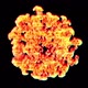 (CRT/VHS) Scanned Fire Explosion 07 - VideoHive Item for Sale