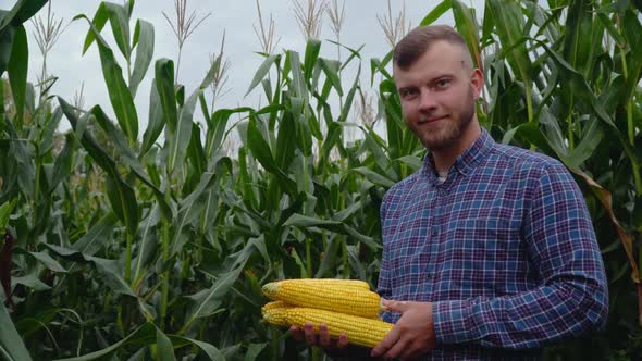 Agronomist with Corn in His Hands Looking at the Camera, Corn Harvest