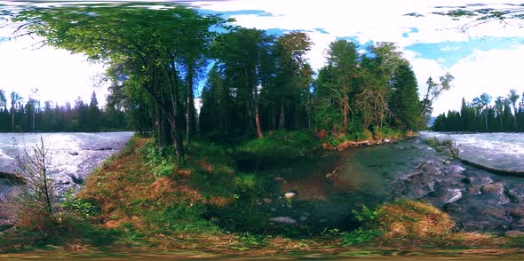 360 VR Virtual Reality of a Wild Forest. Pine Forest, Small Fast, Cold Mountain River