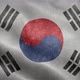 Flag of South Korea - VideoHive Item for Sale