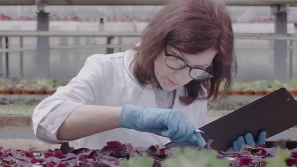 Confident Woman in Gloves and Eyeglasses Touching Plant Leaves and Writing Notes. Portrait of Female