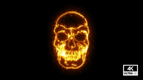 Fire Burning Skull V11