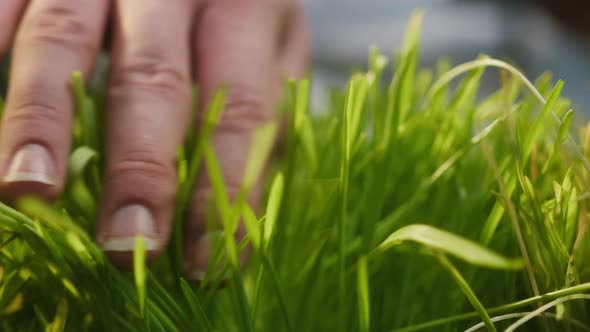 Hands of Professional Gardener in White Gown Checking Grass Quality and Typing on Gadget Tablet