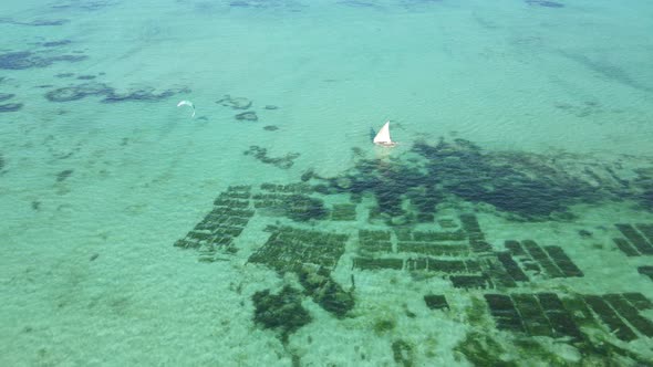 Boats in the Ocean Near the Coast of Zanzibar Tanzania Slow Motion