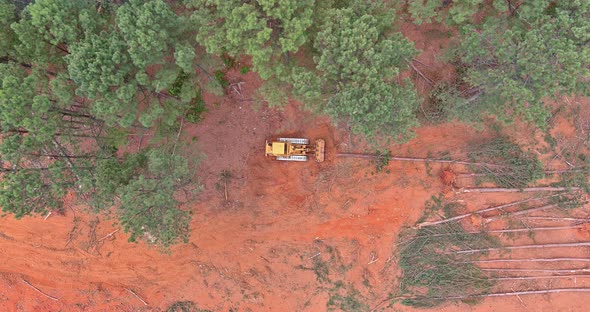 Deforestation and Preparation of Land for Construction Using a Dozer to Uprooting of Trees