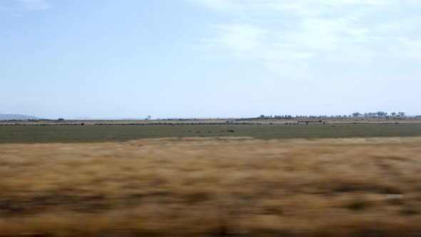 View from a train window look out at dry arid farm land. Blue sky and cloud.