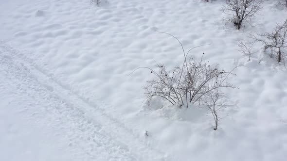 Descending over the white snow 4K drone video