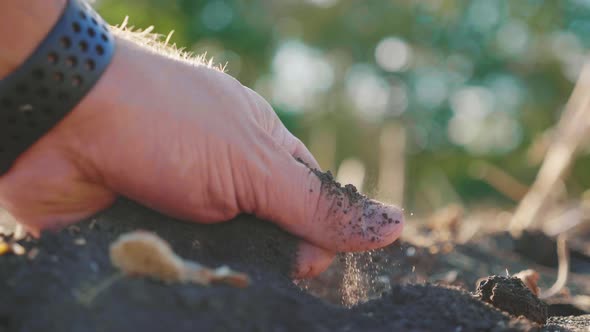 Farmer Working in Field, Hand Holding Pile of Arable Soil. Agriculture, Gardening or Ecology Concept