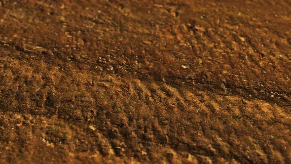 Wheel Tracks on Rough Road