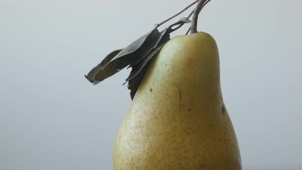 Tilting on  fruit from genus Pyrus 4K 2160p UltraHD  footage - Close-up of yellow organic pear on th